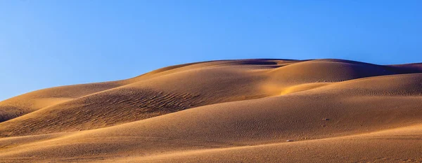 Bela Duna Areia Nascer Sol Deserto — Fotografia de Stock