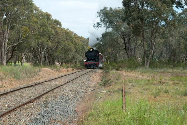 Victoria Avustralya Daki Goldfields Demiryolundaki Buharlı Tren — Stok fotoğraf