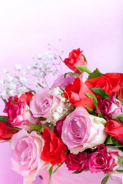 Pink Red Roses Background — Stock Photo, Image