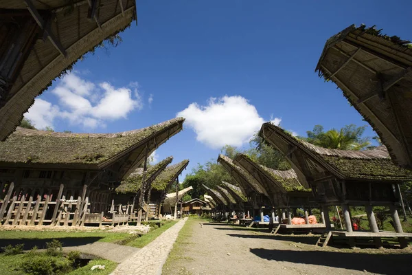 Toraja Vesnici Tradičními Domy Řadě Toraja Sulawesi Indonésie — Stock fotografie