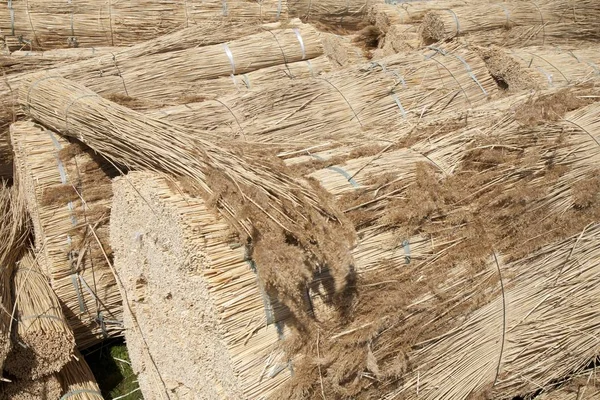 Big Bundles Dried Reed Ready Used Thatched Roof — Stock Photo, Image