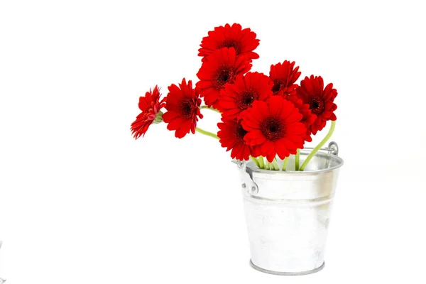Schöne Gerbera Blumen Auf Dem Hintergrund — Stockfoto