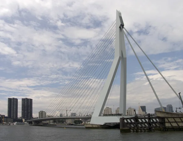 Puente Erasmus Rotterdam Holanda — Foto de Stock