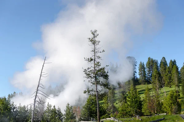 Gejzer Parku Narodowym Yellowstone Wyoming — Zdjęcie stockowe