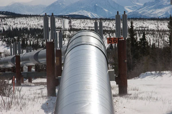 Trans Alaska Pipeline System Στο Εσωτερικό Αλάσκα — Φωτογραφία Αρχείου