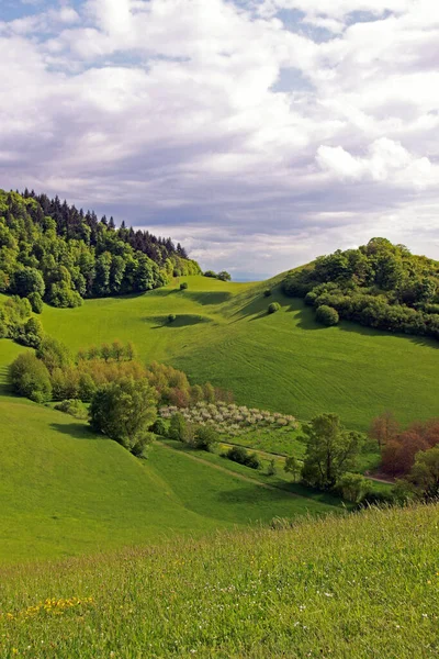 Kaiserstuhl Landscape Schelingen — стоковое фото