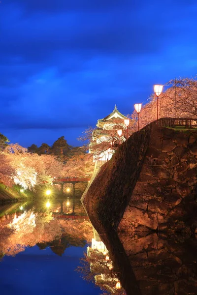 Iluminación Del Castillo Hirosaki Flores Cerezo Aomori Japón — Foto de Stock