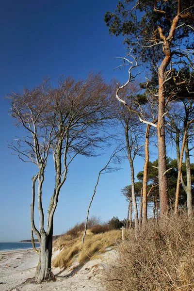 Plage Eau Scène Image — Photo