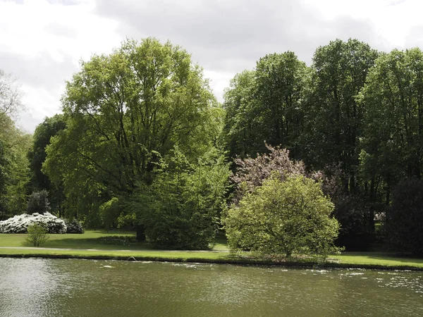 Vacker Natur Vacker Bakgrund — Stockfoto