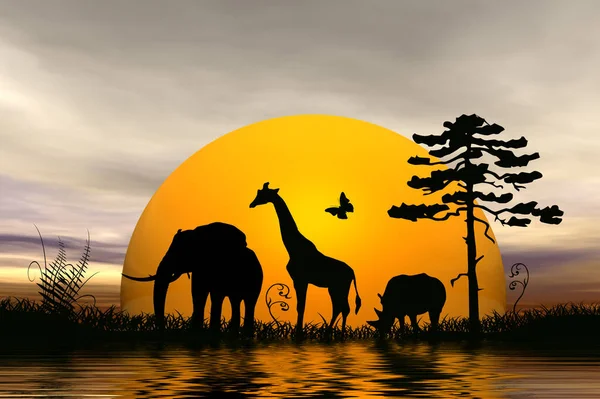 Silhouette Von Elefanten Sonnenuntergang — Stockfoto