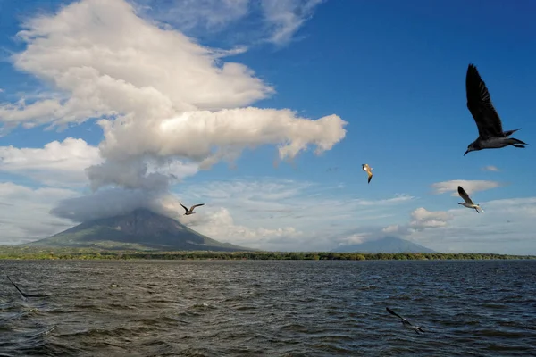 Pintoresca Vista Escena Aire Libre — Foto de Stock