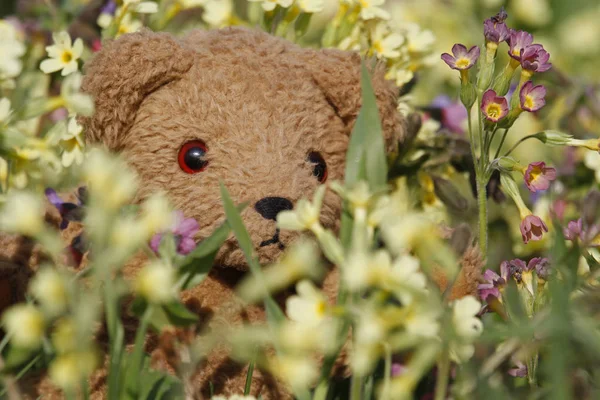 Oso Peluche Con Flores —  Fotos de Stock