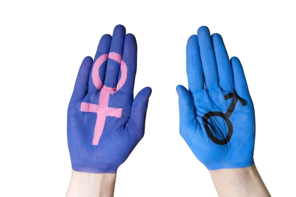 Две Руки Мужским Женским Гендерным Знаком Нарисованные Нем Изолированные — стоковое фото
