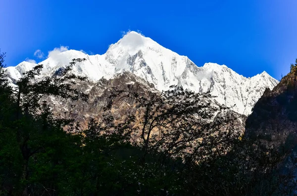 Veduta Della Cima Del Monte Annapurna All Alba Himalaya Nepal — Foto Stock