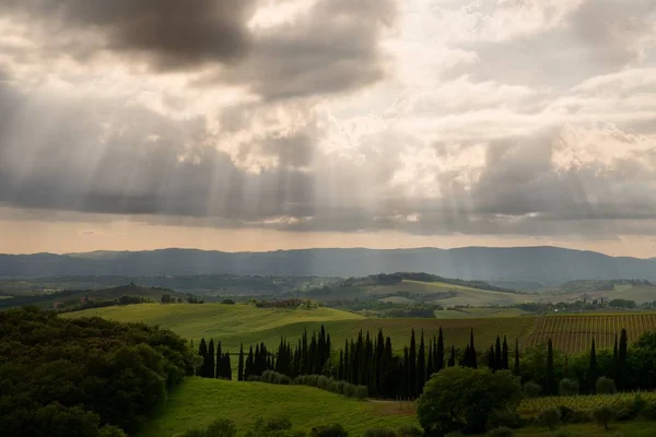 Landelijk Landschap Toscane Regio Van Italië — Stockfoto