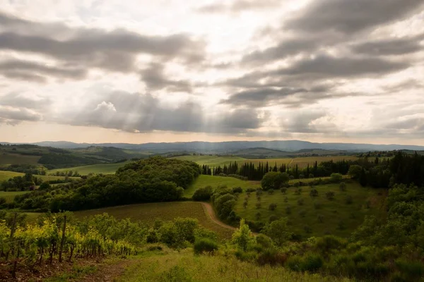 Schilderachtig Uitzicht Typisch Toscane Bewolkt Landschap — Stockfoto