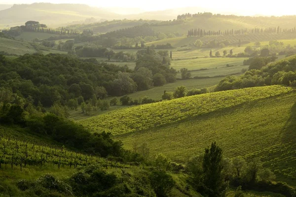 Paisagem Vinícola Chianti Toscana Italia — Fotografia de Stock