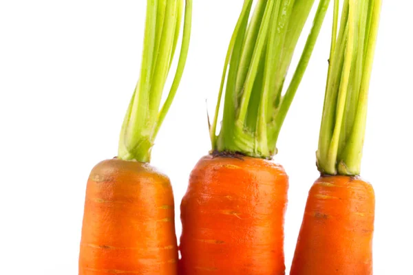 Verschillende Ingrediënten Selectieve Focus — Stockfoto