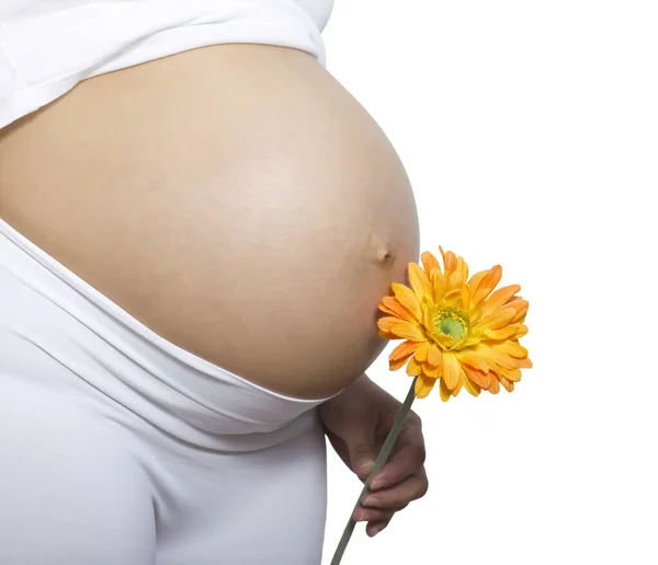 Беременная Женщина Держит Живот Цветок — стоковое фото