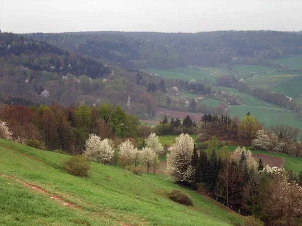 Foggy Scenery Spring Time Seen Hill Named Einkorn Schwaebisch Hall — Foto de Stock