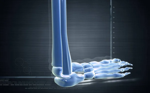 Digitális Illusztráció Láb Csont Színben Háttér — Stock Fotó
