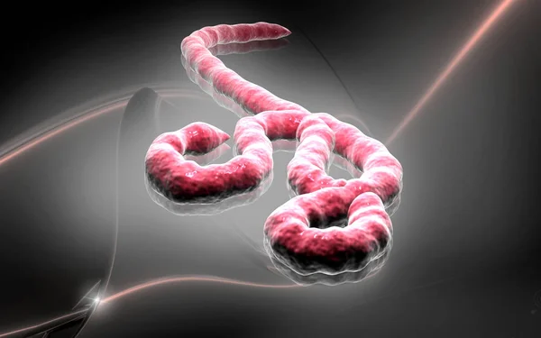Ilustración Digital Del Virus Del Ébola Fondo Color —  Fotos de Stock