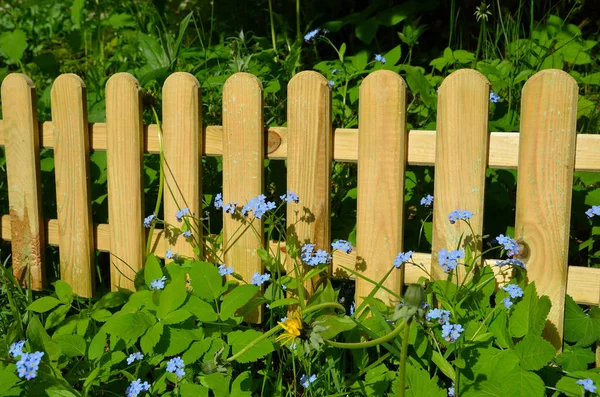 wooden fence with flowers on the grass