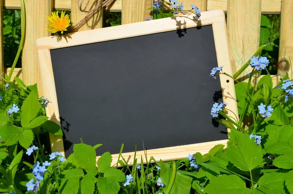 stock image wooden chalkboard, school board