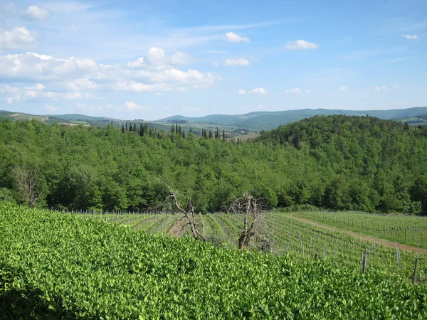 Toskanische Landschaft Mittelitalien — Stockfoto