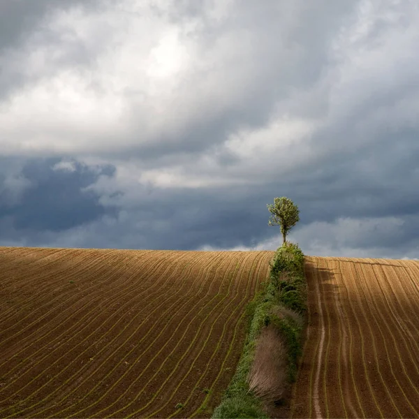 Landschappelijke Visie Landbouw Het Platteland — Stockfoto