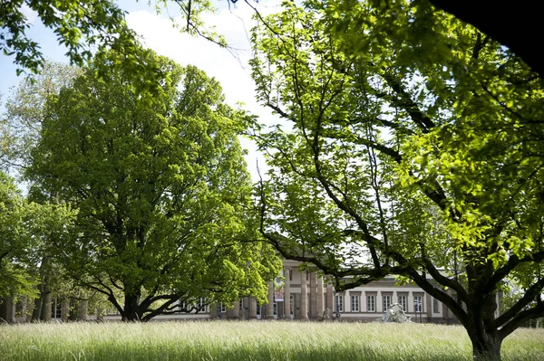 Museo Rosenstein Stuttgart Rodeado Exuberantes Prados Árboles Primavera — Foto de Stock