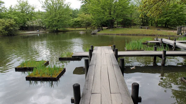 Jardim Japonês Hasselt Bélgica — Fotografia de Stock