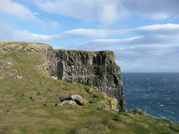 Bird Rocks Iceland — Stock Photo, Image