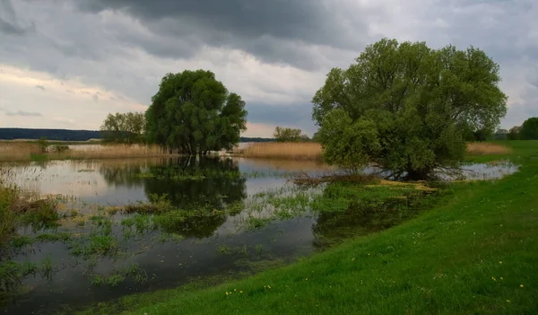 Schöne Natur Malerischer Hintergrund — Stockfoto