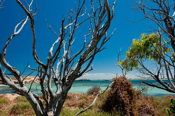 Εικόνα Μιας Όμορφης Αμμώδους Παραλίας Ενάντια Στον Καταγάλανο Ουρανό — Φωτογραφία Αρχείου