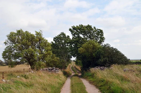 Empty Road Countryside North Europe — Stock Photo, Image