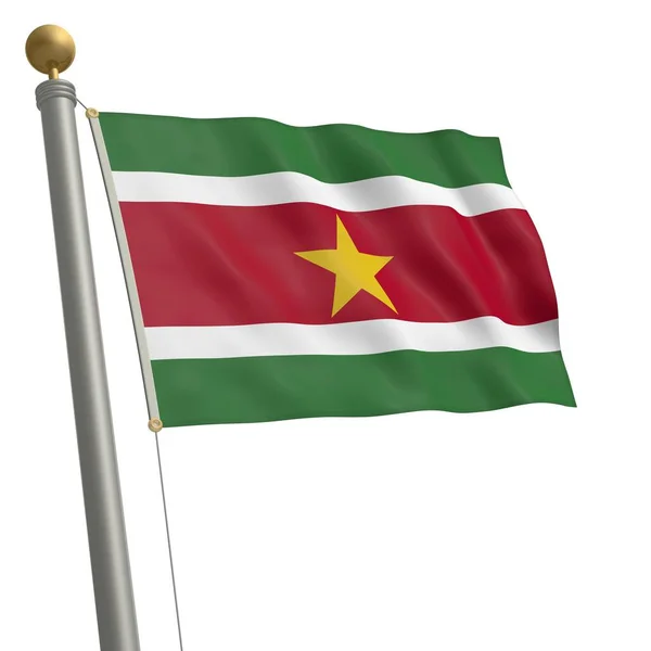 Flag Suriname Flutters Flagpole — 图库照片