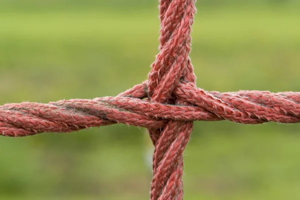 Detail Crossed Red Ropes Green Back — Stock Photo, Image