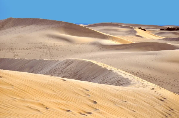 Vue Panoramique Des Dunes Mise Point Sélective — Photo