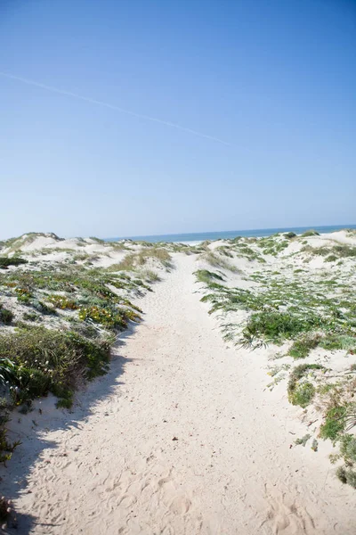 Sandy Path Beach Baleal Portugal — Stock Photo, Image