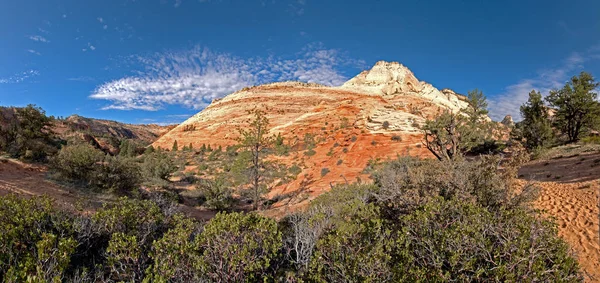 Zion National Park Utah United States — стоковое фото