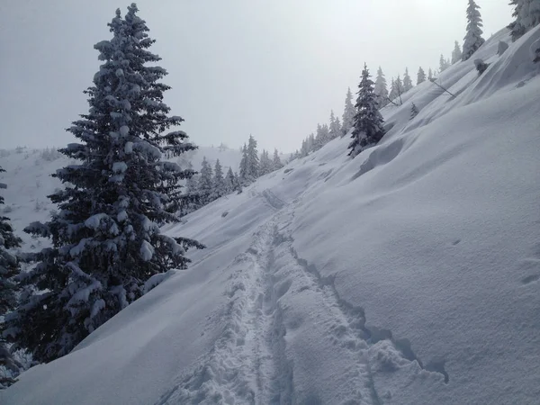 Traço Neve Declive Montanha Passear Caminhadas Esqui Snowshoeing Inverno Neve — Fotografia de Stock