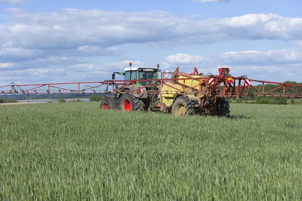 Blick Auf Maisfeld Landwirtschaftliches Konzept — Stockfoto
