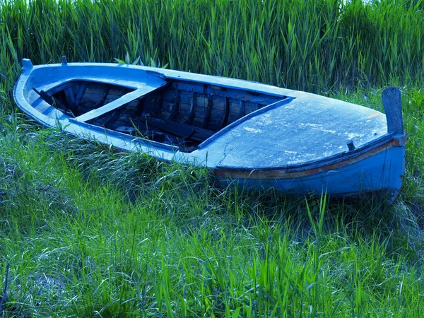 Blue Wooden Boat Laying High Grass — Stock Photo, Image