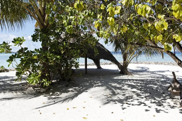 Makunudu Ilha Maldivas — Fotografia de Stock