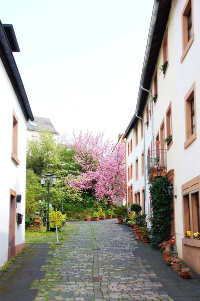 Gepflasterte Straße Wittlich — Stockfoto