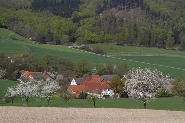 Con Vista Sul Villaggio Ciliegio Gellersen Weserbergland — Foto Stock