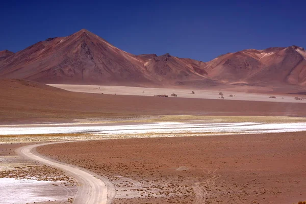 Negli Altopiani Del Deserto Meridionale Della Bolivia — Foto Stock