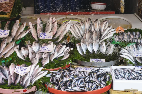 Isztambul Egy Nagy Város Törökországban Amely Európát Járja — Stock Fotó