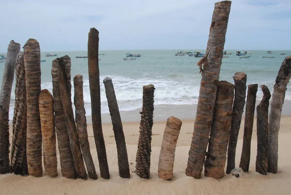 Strand Van Caicara Rio Grande Norte Brazilië — Stockfoto